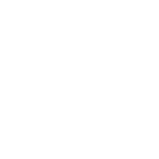 Sports Coaching (Skating & Boxing)